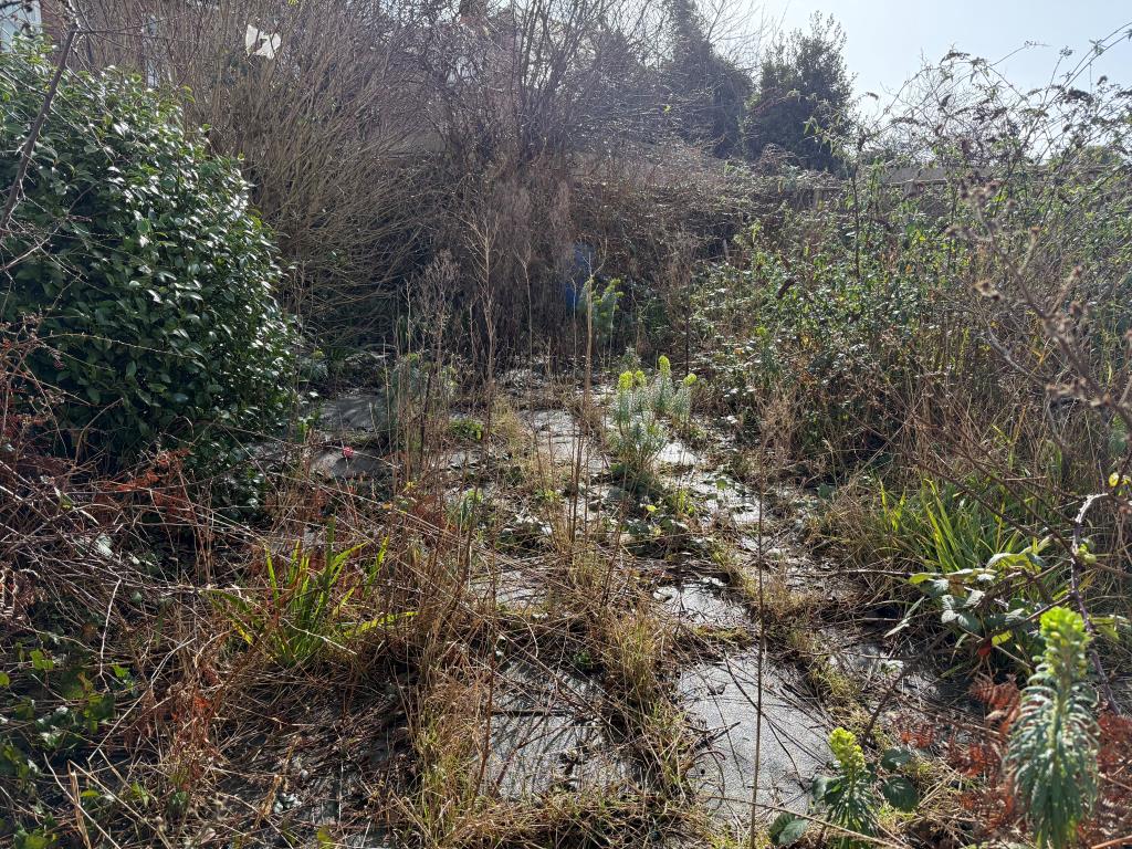 Lot: 125 - SUBSTANTIAL PROPERTY ARRANGED AS TWO FLATS IN NEED OF REFURBISHMENT - Overgrown walled rear patio garden